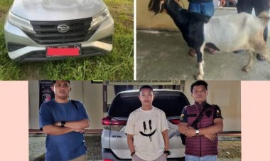 Setahun Buron, Pencuri Kambing Akhirnya Ditangkap Polsek Bonai Darussalam