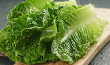 Lima Manfaat Selada Romaine, Lawan Kanker Hingga Lindungi Tulang