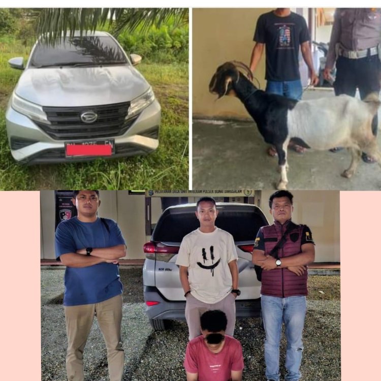 Setahun Buron, Pencuri Kambing Akhirnya Ditangkap Polsek Bonai Darussalam