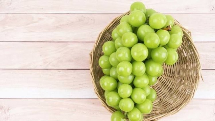 Anggur Shine Muscat di Pekanbaru Aman untuk Dikonsumsi