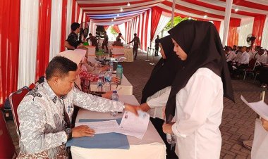 BKN Perpanjang Pendaftaran Seleksi PPPK Tahap II hingga 20 Januari 2025