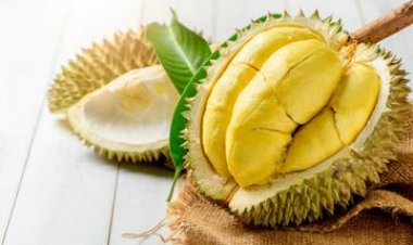Hati-hati! Berikut Bahaya Berlebihan Makan Durian bagi Kesehatan