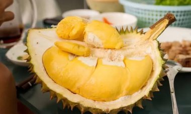 Benarkah Durian Bisa Menyebabkan Kolesterol Tinggi? Ini Faktanya