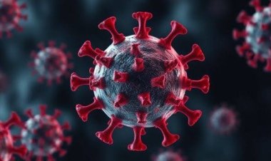 Menkes: HMPV Bukan Virus Baru, Masyarakat Diminta Tetap Tenang