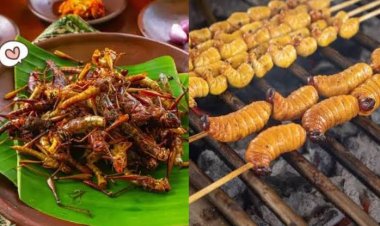 Belalang atau Ulat Sagu Masuk dalam Daftar Menu Makan Bergizi Gratis?