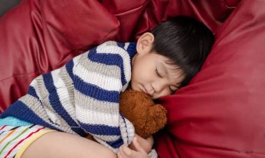 Tidur Siang Dapat Meningkatkan Kinerja Otak Anak