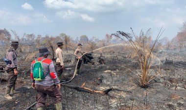Pemkab Kepulauan Meranti, Bengkalis dan Pemko Dumai Sudah Tetapkan Status Siaga Karhutla 2025
