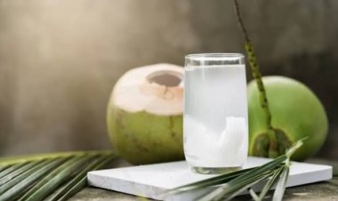Dokter Ungkap Manfaat Minum Air Kelapa saat Berbuka Puasa