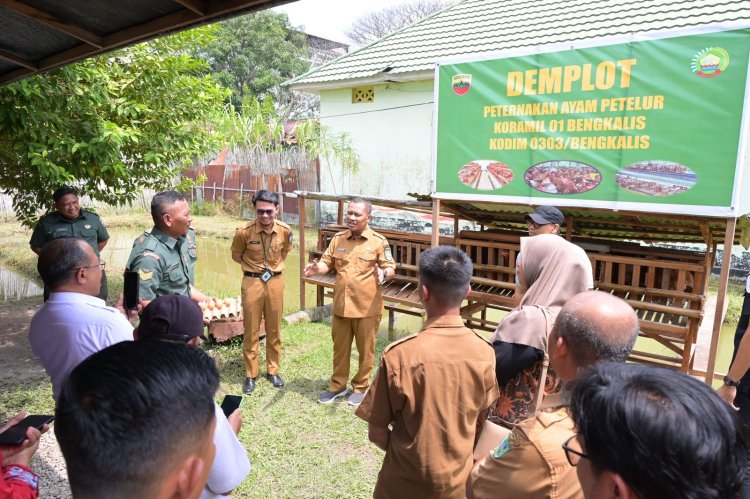 Wabup Bagus Santoso Tinjau Lokasi Demplot Peternakan Ayam Milik Koramil Bengkalis