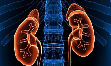 Sederet Penyebab Gagal Ginjal di Usia Muda yang Perlu Diwaspadai