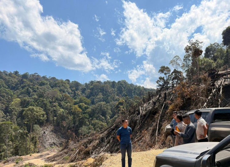 Bakar 10 Hektare Lahan di Kawasan Hutan Produksi Terbatas Tanjung Medan, Tiga Pelaku Diamankan Tim Polres Rohul