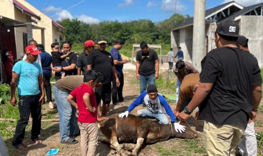 Devindo Grup Kota Dumai Berqurban, Tebar Semangat Kepedulian di Hari Raya Idul Adha 1446 H