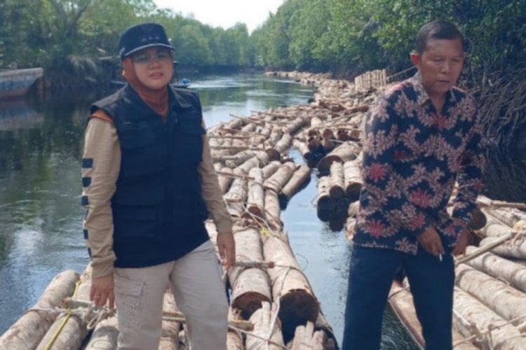 Bupati Siak Afni Zulkifli Terkejut Temukan Ribuan Kayu Diduga Ilegal di Sungai Apit