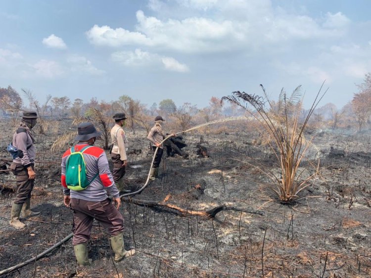 12 Kabupaten Kota di Riau Sudah Tetapkan Status Siaga Darurat Karhutla