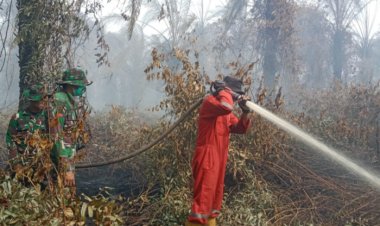 3.031 Titik Hotspot Sepanjang Juli 2025 di Riau, Wakil Menteri Kehutanan dan Kepala BNPB Tinjau Karhutla