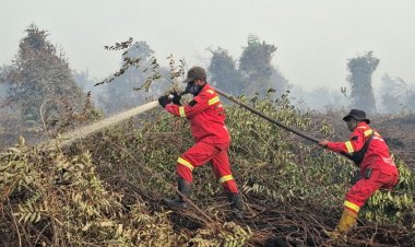 Gubernur Riau Abdul Wahid Tetapkan Status Tanggap Darurat Karhutla, Perkuat Monitoring dan Ground Checking Hotspot
