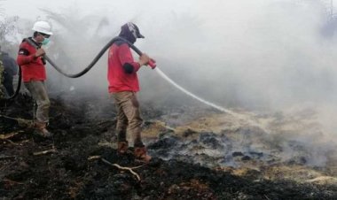 BMKG Pastikan Tak Ada Asap Karhutla Lintasi Batas Negara, Modifikasi Cuaca Terus Berjalan