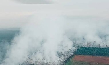 Kabut Asap, Walikota Pekanbaru Tunggu Evaluasi Udara untuk Liburkan Sekolah
