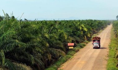 PT Eka Dura Indonesia Pastikan Kewajiban Perusahaan Membangun Kebun Plasma untuk Masyarakat Telah Tuntas