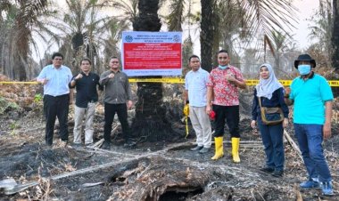 Temukan 13 Hotspot, Kementerian Lingkungan Hidup Segel Lahan Konsesi PT SRL