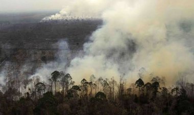 Jumlah Titik Panas di Riau Menurun, Terpantau 16 Titik Hari Ini