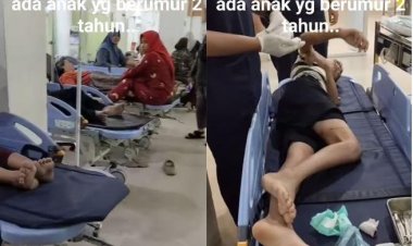 Puluhan Warga Pekanbaru Digigit Anjing, Ada Balita