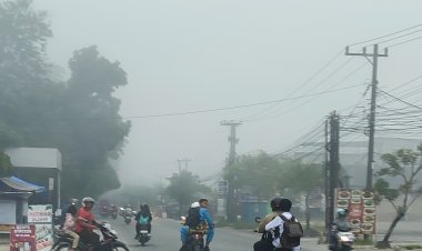 Langit Pekanbaru Berkabut di Pagi Hari, Ini Penjelasan BMKG
