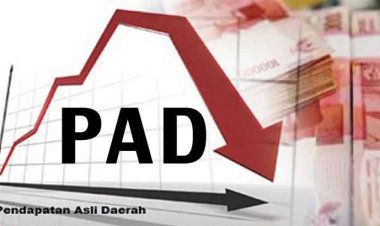 PAD se-Riau 2026 Diprediksi Terjun Bebas, Layanan Dasar dan Ekonomi Masyarakat Terancam 