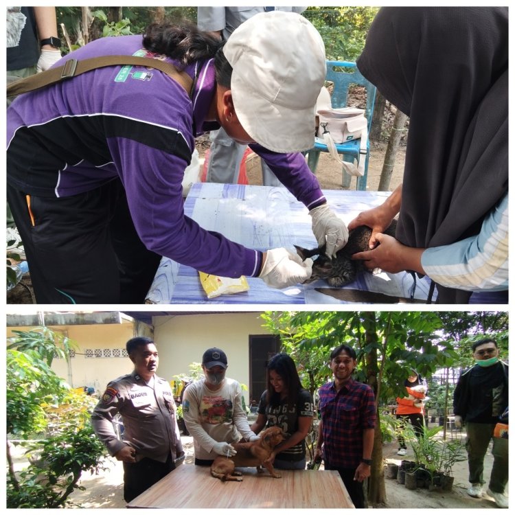 321 Hewan Peliharaan di Tenayan Raya Divaksinasi Rabies