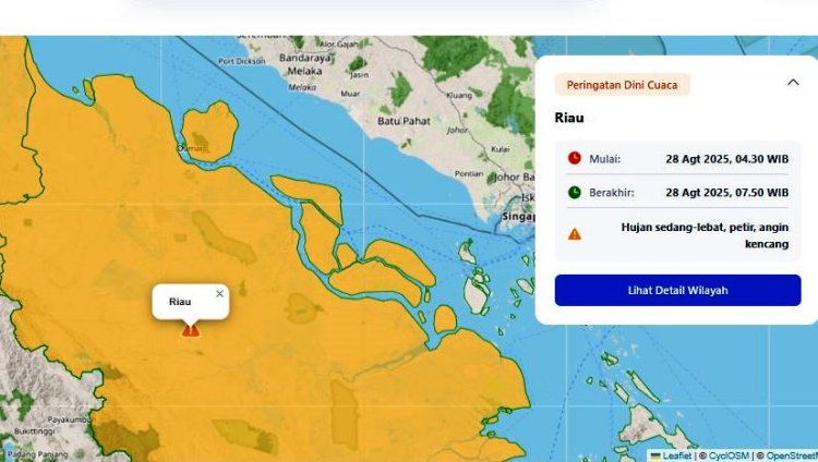 Prakiraan Cuaca Riau Hari Ini, BMKG Minta Waspadai Hujan Lebat Disertai Petir dan Angin Kencang