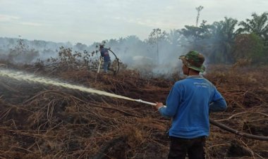 BPBD Kota Dumai Berhasil Kendalikan Karhutla di Kelurahan Lubuk Gaung