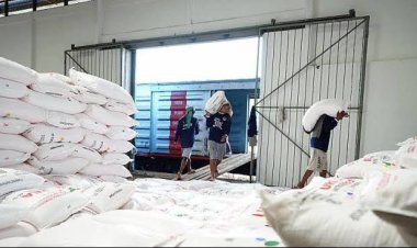 Impor Riau Januari–Juli 2025 Turun 13,85 Persen, Pupuk Masih Jadi Komoditas Utama