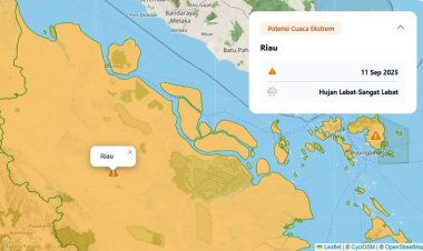 Prakiraan Cuaca BMKG, Waspadai Hujan Lebat Disertai Petir dan Angin Kencang Malam Ini di Wilayah Riau