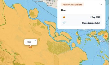 Prakiraan Cuaca Riau Hari Ini, BMKG Stasiun Pekanbaru Ingatkan Warga Potensi Hujan Lebat Disertai Petir dan Angin Kencang