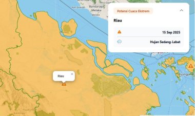 Prakiraan Cuaca BMKG, Waspadai Potensi Hujan Lebat Disertai Petir dan Angin Kencang Sore Ini di Wilayah Riau
