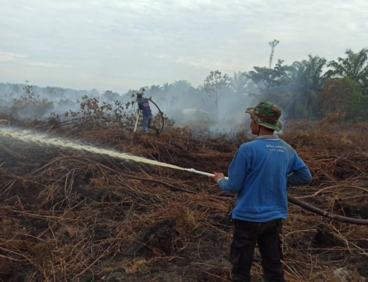BPBD Kota Dumai Berhasil Kendalikan Karhutla di Kelurahan Lubuk Gaung
