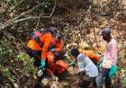 Tiopan Siregar yang Hilang di Perkebunan Sawit Titian Antui Pinggir untuk Pergi Memanen, Ditemukan Meninggal Dunia