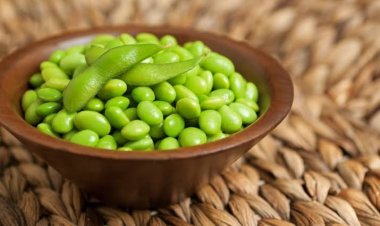 Daftar 12 Makanan Sumber Protein Tinggi Selain Telur