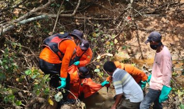 Tiopan Siregar yang Hilang di Perkebunan Sawit Titian Antui Pinggir untuk Pergi Memanen, Ditemukan Meninggal Dunia