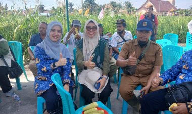 Panen Padi Gogo di Palas, Pemko Pekanbaru Minta Pemprov Riau Bantu Rice Milling