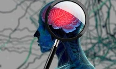 Aktivitas Sederhana yang Bikin Otak Awet Muda, Nggak Mudah Pikun saat Menua