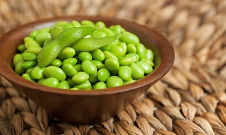 Daftar 12 Makanan Sumber Protein Tinggi Selain Telur