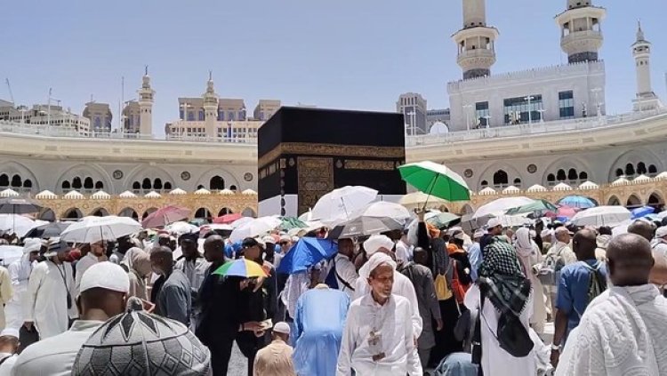 Umrah Mandiri Resmi Dilegalkan, Pengusaha Travel Syok
