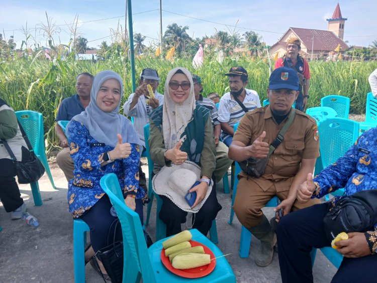 Panen Padi Gogo di Palas, Pemko Pekanbaru Minta Pemprov Riau Bantu Rice Milling