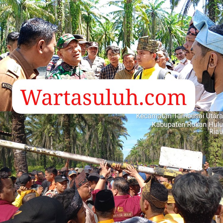 Masyarakat Adat Melayu Rantau Kasai Tuntut PT Torganda Kembalikan Tanah Ulayat