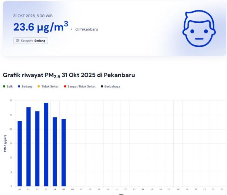 Riau Tak Ada Hujan 10 Hari Terakhir, Kualitas Udara Pekanbaru 31 Oktober 2025 Terpantau Sedang