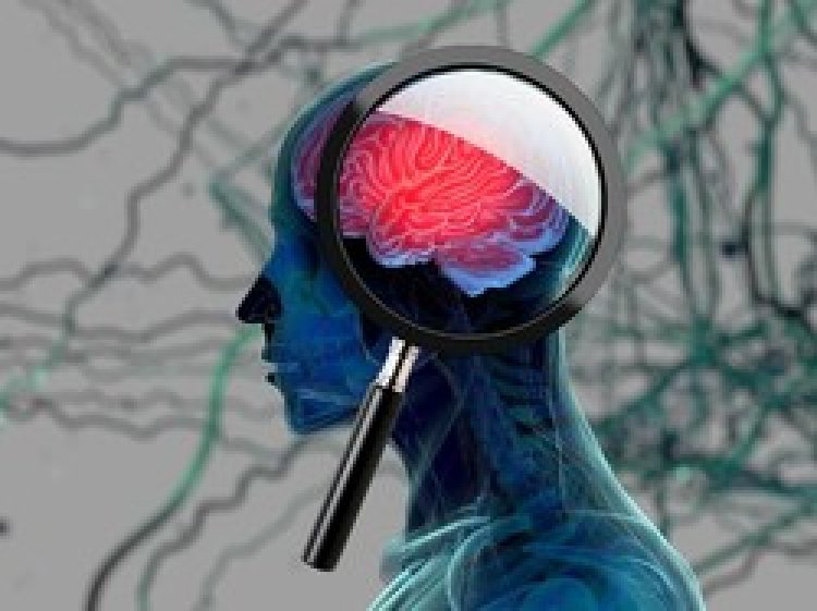 Aktivitas Sederhana yang Bikin Otak Awet Muda, Nggak Mudah Pikun saat Menua