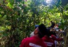 Kearifan Lanskap Hutan Ulayat Kepenghuluan Langgam, Kisah Harimau Penjaga Kampung hingga Tanaman Obat