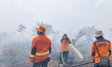 41 Titik Panas Terpantau di Riau, Kampar Terbanyak 9 Titik, Karhutla di Tujuh Daerah Masih Terus Dipadamkan Tim Gabungan