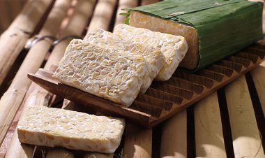 Ahli Ungkap Cara Terbaik Makan Tempe agar Manfaatnya Maksimal